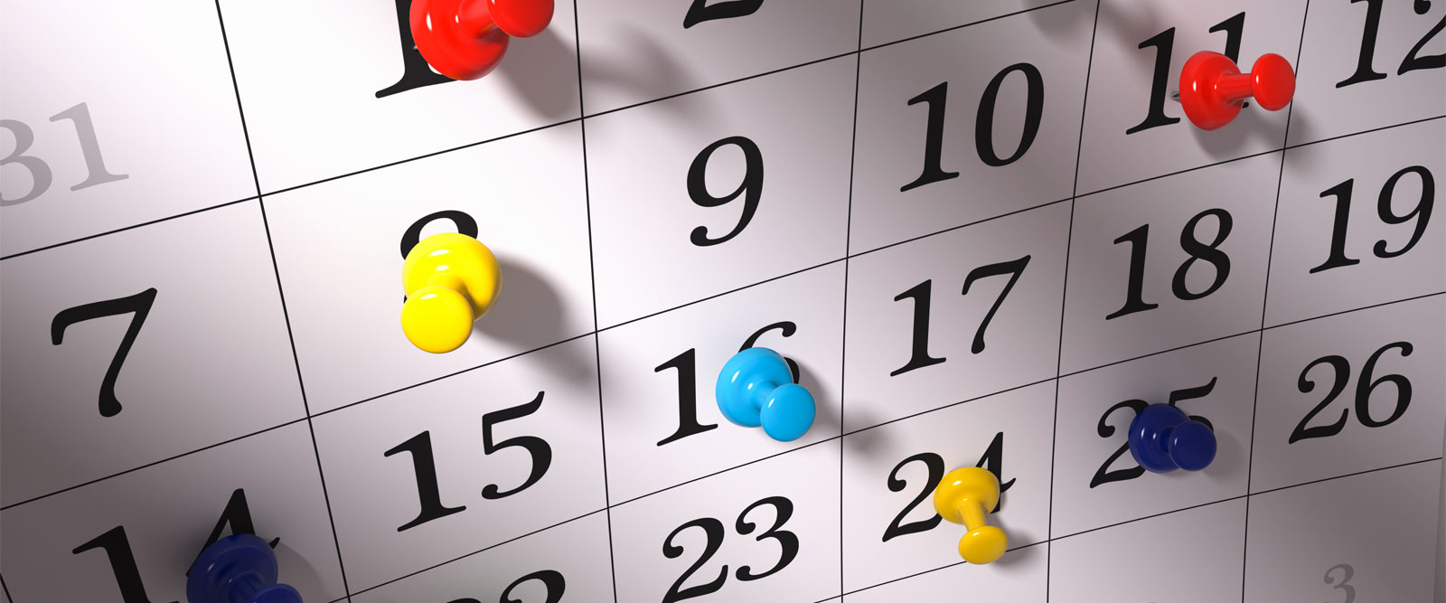 21 Ağustos 2019 Cumartesi 21 Ağustos 2019 Cumartesi