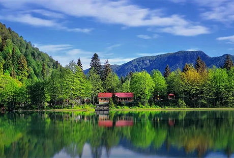 Karadeniz'de Yayla Terapi