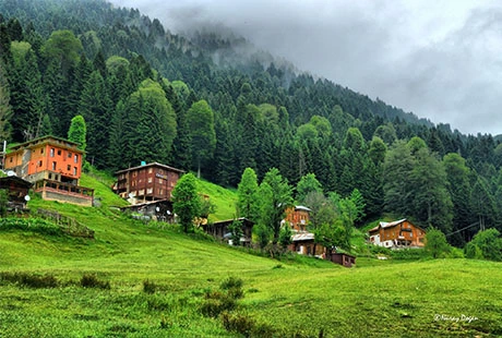 Yeşil Karadeniz ve Batum Turu